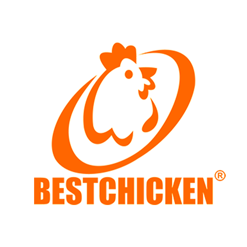 Best Chicken